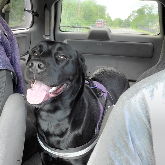 Meet your Posher, Robert - Picture 2 of 5